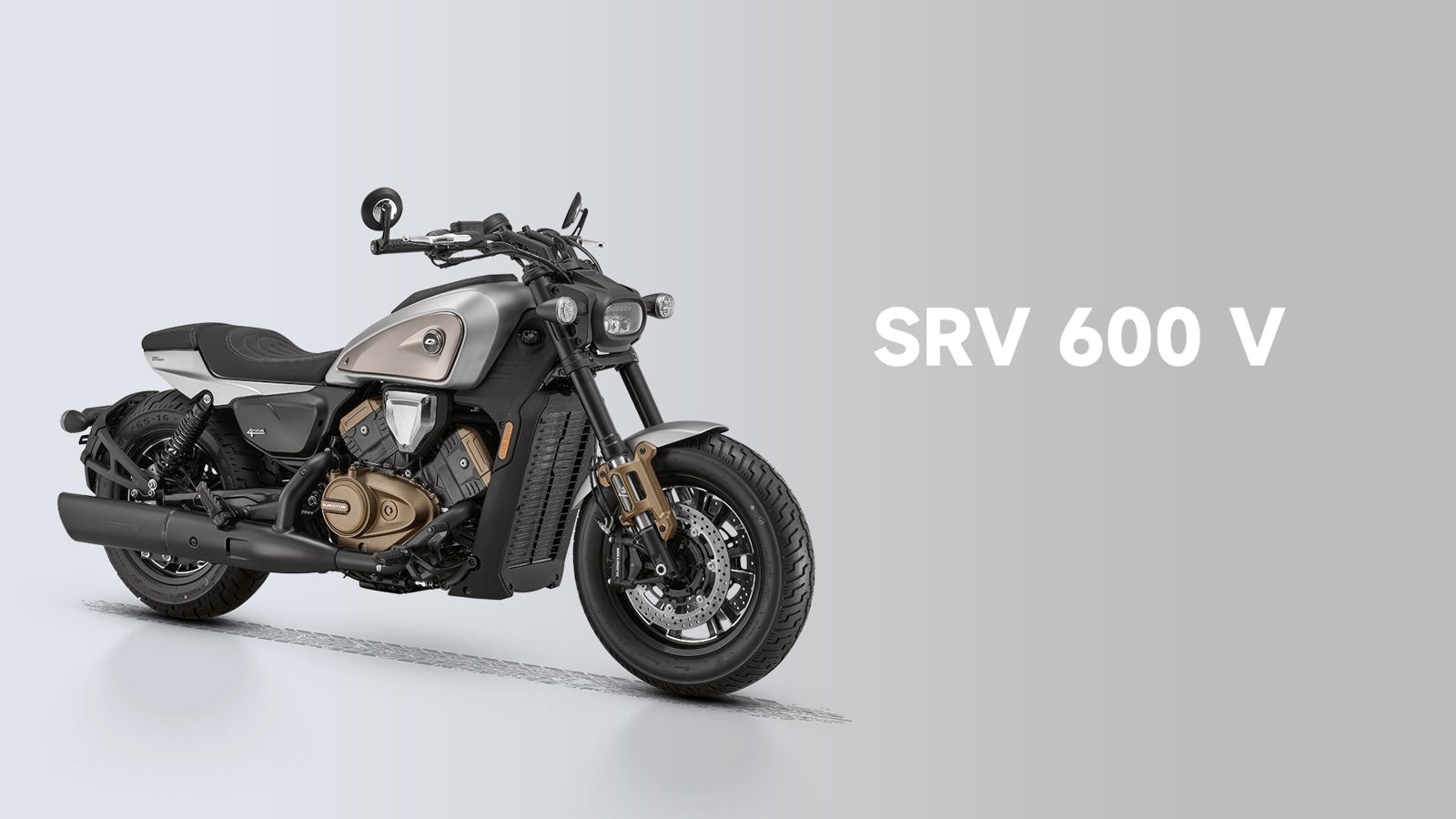 QJ MOTOR SRV 600V